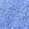 Transparent Colours Glass Round Seed Beads SEED-B001-06A-08-3