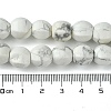 Natural Howlite Beads Strands G-H023-A16-01-5