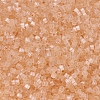 MIYUKI Delica Beads SEED-X0054-DB0821-3