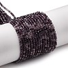 Transparent Glass Beads Strands GLAA-H027-01A-1