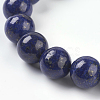 Natural Lapis Lazuli Beads Strands G-G087-10mm-3