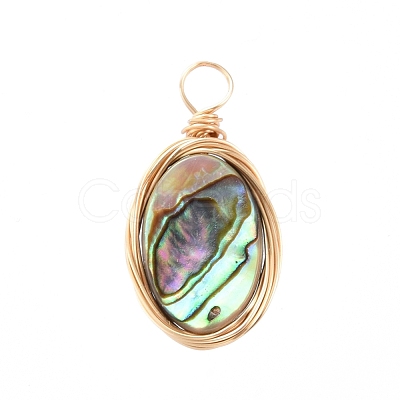 Natural Abalone Shell/Paua Shell Pendants X-PALLOY-JF00457-02-1