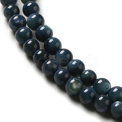Natural Freshwater Shell Beads Strands X-SHEL-H003-03C-1