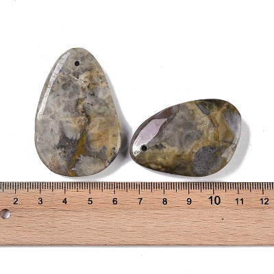 Natural Fossil Pendant G-Q164-16-1