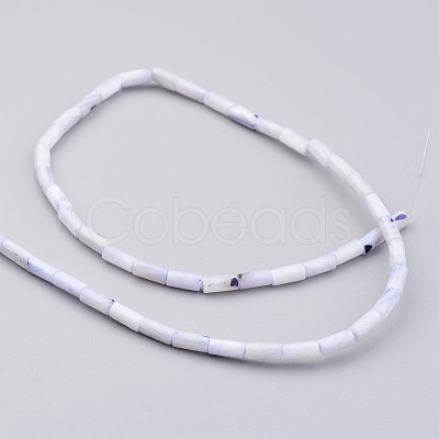 Natural Shell Bead Strands BSHE-P016-04-1