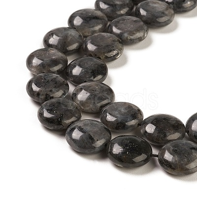 Natural Larvikite Beads Strands G-M403-C09-02-1