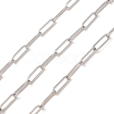 Non-Tarnish 3.28 Feet 304 Stainless Steel Paperclip Chains X-CHS-L022-02P-1