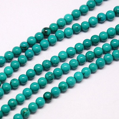 Natural Magnesite Beads Strands TURQ-L019-10mm-01-1