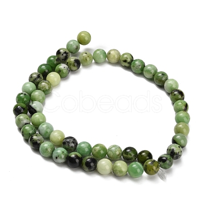 Natural Serpentine Beads Strands G-Z110-C04-8mm-1