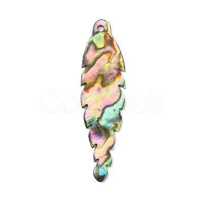 Natural Paua Shell Pendants SSHEL-WH0003-02-1