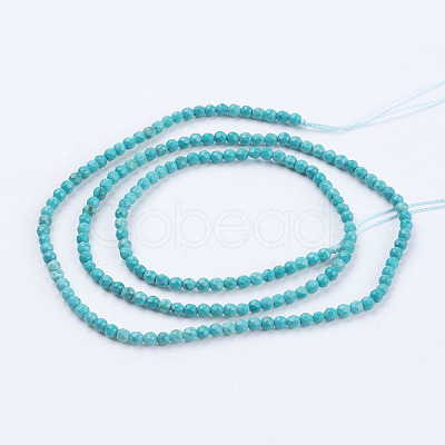 Natural Magnesite Beads Strands TURQ-L028-01-1