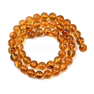 Natural Amber Beads Strands G-L095-B01-8mm-02-1
