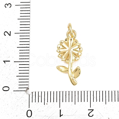 Valentine's Day Brass Micro Pave Clear Cubic Zirconia Pendants KK-D258-07G-06-1