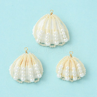 Natural Shell Pendants PALLOY-MZ01366-1
