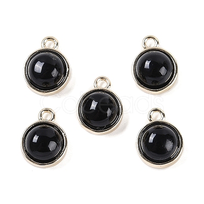 Natural Black Onyx(Dyed & Heated) Pendants G-K372-03G-04-1
