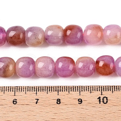 Dyed Natural White Jade Beads Strands G-T138-D07-1