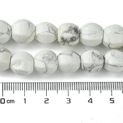 Natural Howlite Beads Strands G-H023-A16-01-1