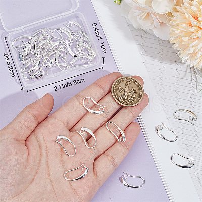 20 Pairs Brass Earring Hooks KK-BBC0016-18-1