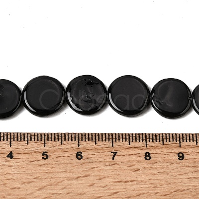 Natural Freshwater Shell Beads Strands SHEL-A006-01C-1