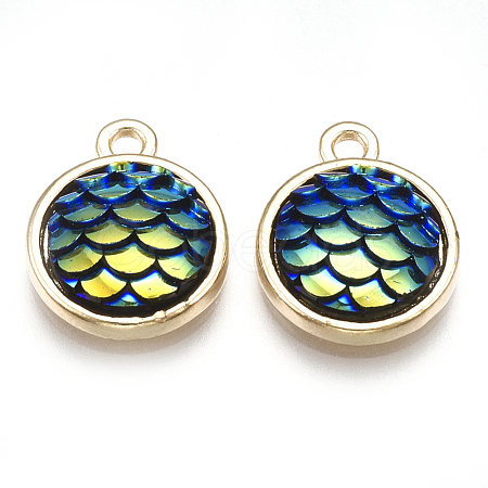 Alloy Resin Charms PALLOY-T056-24A-1