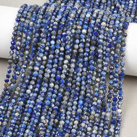 Natural Lapis Lazuli Beads Strands G-RM250104-A6-1