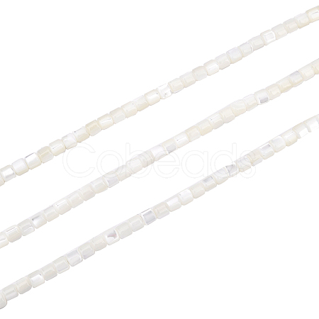 SUPERFINDINGS 3 Strands Natural Trochid Shell/Trochus Shell Beads Strands SSHEL-FH0001-12-1