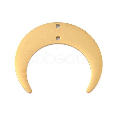 Ion Plating(IP) 304 Stainless Steel Connector Charms STAS-B056-27G-1