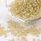 (Repacking Service Available) Round Glass Seed Beads, Transparent Colours Rainbow, Round, Pale Goldenrod, 6/0, 4mm, about 12g/bag