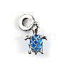 Sterling Silver European Dangle Charms FIND-WH0110-027-2