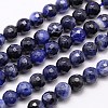 Natural Sodalite Beads Strands G-G542-8mm-28-1