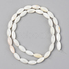 Natural Freshwater Shell Beads Strands SSHEL-R048-008-2