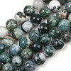 Natural Tree Agate Beads Strands G-I199-03-10mm-2