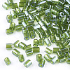 FGB Grade A Glass Seed Beads SEED-S022-03R-2