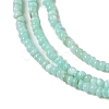 Natural Freshwater Shell Beads Strands SHEL-P017-01A-08-3