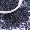 MIYUKI Round Rocailles Beads X-SEED-G007-RR0171-1