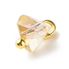 Electroplate Glass Charms PALLOY-JF00821-07-5