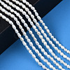 Natural Cultured Freshwater Pearl Beads Strands PEAR-N012-02I-6