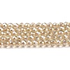 Transparent Electroplate Glass Beads Strands X1-GLAA-H021-01B-PL02-2
