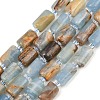 Natural Blue Calcite Beads Strands G-F836-B01-01-2
