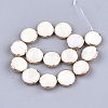 Freshwater Shell Multi-strand Links Strands SSHEL-T007-20B-2