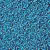 TOHO 11/0 Round Beads SEED-TR11-0023BF-2