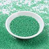 MIYUKI Round Rocailles Beads SEED-X0054-RR0225-2