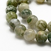 Natural Tree Agate Beads Strands G-K194-10mm-02-4