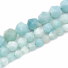Natural Amazonite Beads Strands G-S332-10mm-009-2