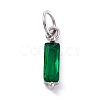 304 Stainless Steel Cubic Zirconia Pendants STAS-E487-21P-06-1
