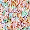 Opaque Resin Decoden Cabochons CRES-M033-01K-1