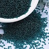 MIYUKI Round Rocailles Beads SEED-X0054-RR2406-1