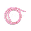 Natural Freshwater Shell Beads Strands SHEL-G013-02A-2