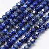Natural Lapis Lazuli Beads Strands G-K185-01-1
