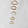 Iron D Ring LS-PURS-PW0001-400J-LG-1